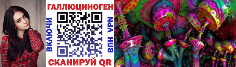 Галлюциногенные грибы GOLDEN TEACHER  Купить где  Суоярви 